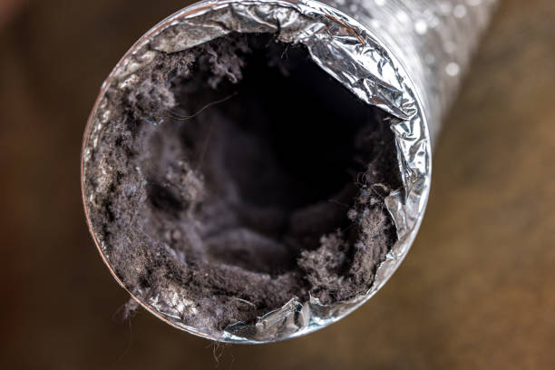Air Duct Mold Removal in MD